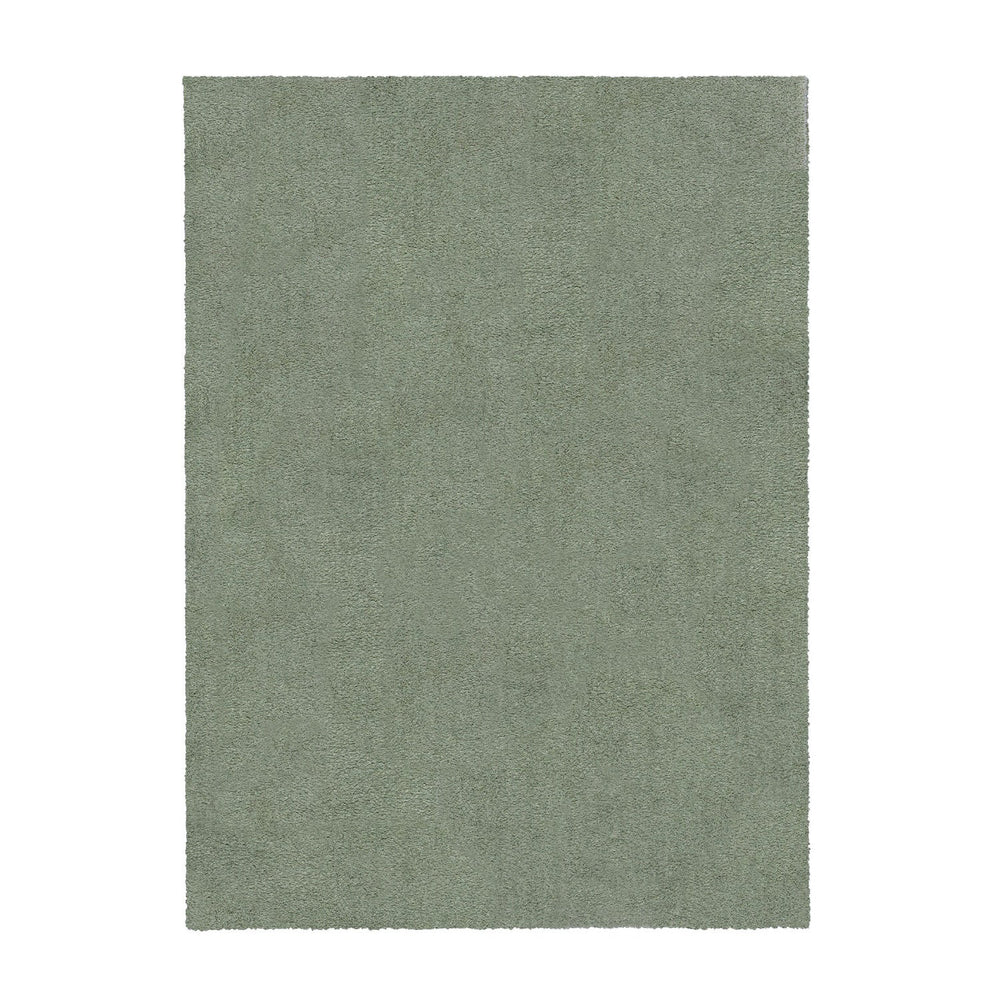 Shaggy Floor Rug - Farenzo Mint Green