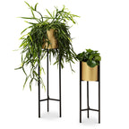 Metal planter on stand - Lily Gold 2/set