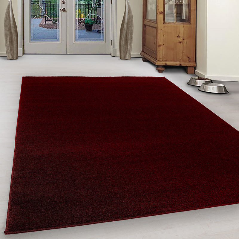 Low Pile Rug - Asa Red