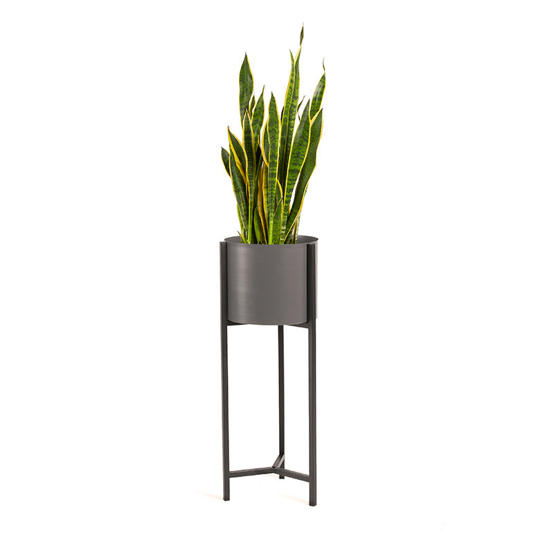 Planter - Delphine Black High