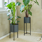 Planter - Delphine Black High